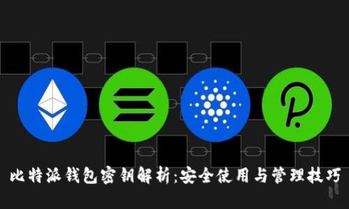 比特派钱包密钥解析：安全使用与管理技巧
