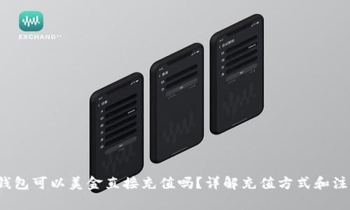 b特派钱包可以美金直接充值吗？详解充值方式和注意事项