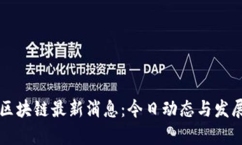 新南区块链最新消息：今日动态与发展分析