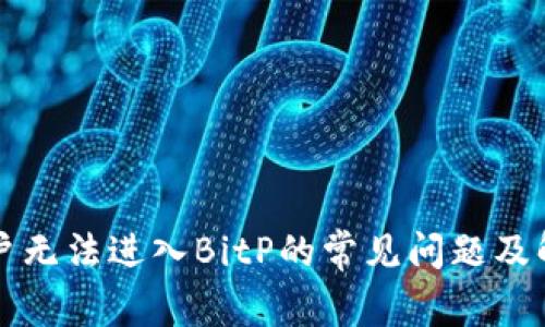 苹果用户无法进入BitP的常见问题及解决方案