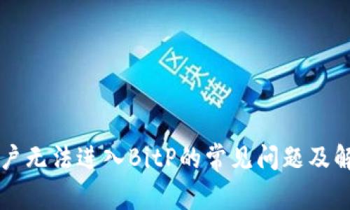 苹果用户无法进入BitP的常见问题及解决方案