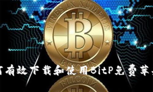 如何有效下载和使用BitP免费苹果版