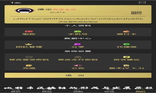 比特币区块链的形成与发展历程