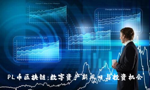 PL币区块链：数字资产新风口与投资机会