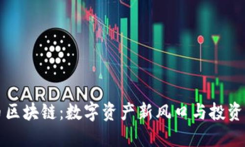 PL币区块链：数字资产新风口与投资机会