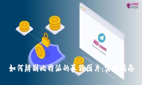 如何辨别比特派的真假图片：实用指南