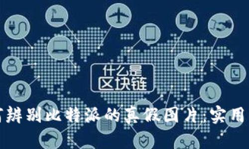 如何辨别比特派的真假图片：实用指南