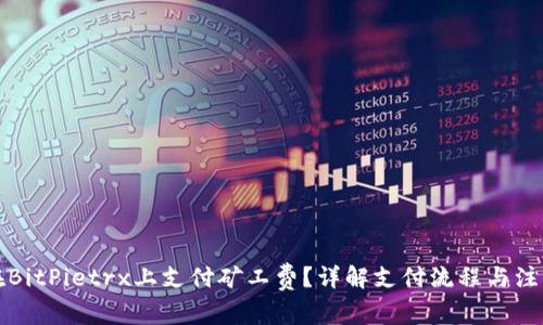 如何在BitPietrx上支付矿工费？详解支付流程与注意事项