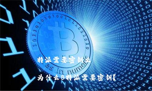 特派需要密钥么

为什么B特派需要密钥？