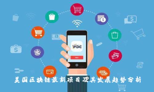 美国区块链最新项目及其发展趋势分析