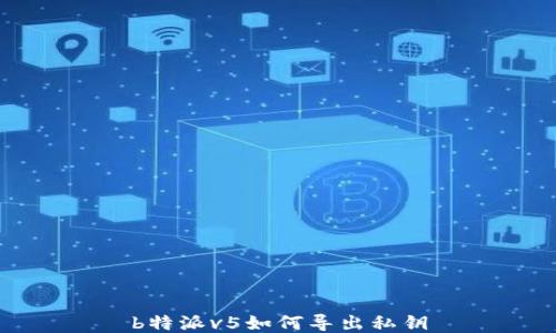 
b特派v5如何导出私钥