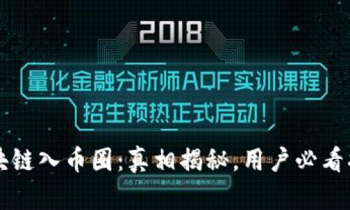 区块链入币圈：真相揭秘，用户必看指南