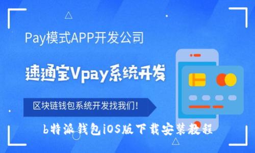 b特派钱包iOS版下载安装教程