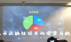 无币区块链项目的前景与
