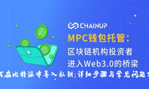 如何在比特派中导入私钥：详细步骤与常见问题分析