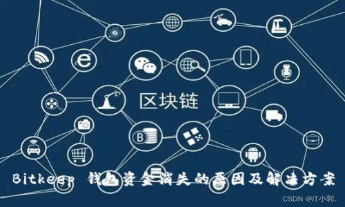 Bitkeep 钱包资金消失的原因及解决方案