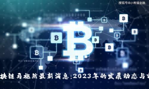 区块链马施然最新消息：2023年的发展动态与前瞻