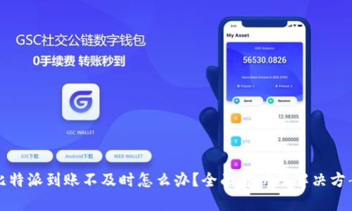 比特派到账不及时怎么办？全面解析及解决方案