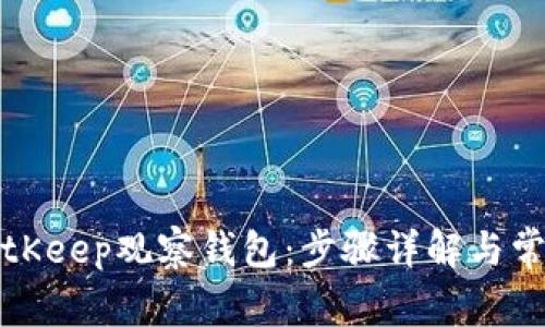 如何创建BitKeep观察钱包：步骤详解与常见问题解答