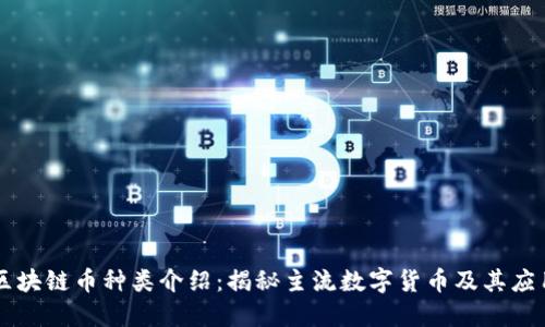 区块链币种类介绍：揭秘主流数字货币及其应用