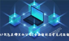 BitP钱包是哪里的公司？全