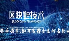区块链比特币项目：如何
