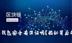 b特派钱包安全有保证吗？