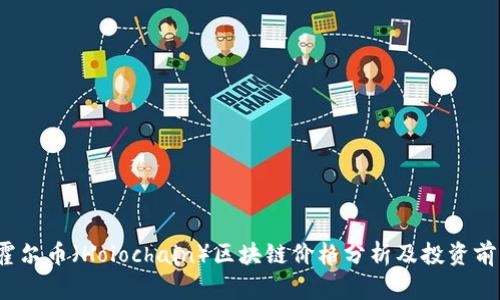  霍尔币（Holochain）区块链价格分析及投资前景