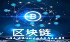 比特币：区块链技术的杰