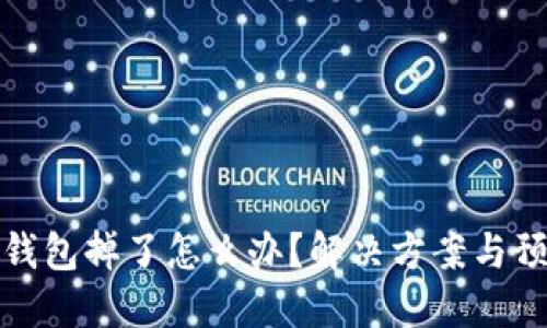 比特派钱包掉了怎么办？解决方案与预防措施