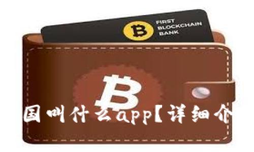 BitPie中国叫什么app？详细介绍与分析