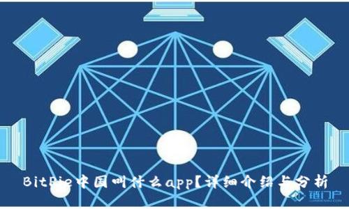 BitPie中国叫什么app？详细介绍与分析