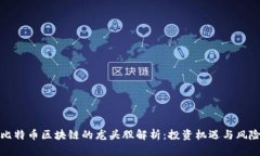 比特币区块链的龙头股解