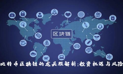 比特币区块链的龙头股解析：投资机遇与风险