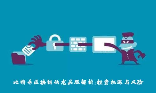 比特币区块链的龙头股解析：投资机遇与风险