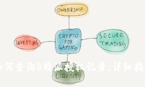 如何查询B特派授权记录：详细指南