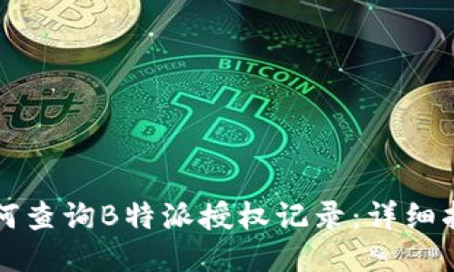 如何查询B特派授权记录：详细指南