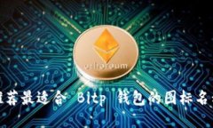 推荐最适合 Bitp 钱包的图