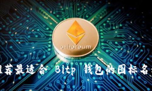 推荐最适合 Bitp 钱包的图标名称