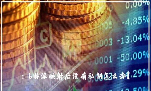 : b特派映射后没有私钥怎么办？