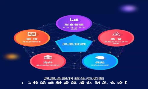 : b特派映射后没有私钥怎么办？