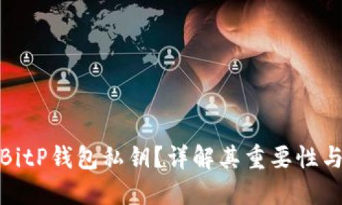 什么是BitP钱包私钥？详解其重要性与安全性