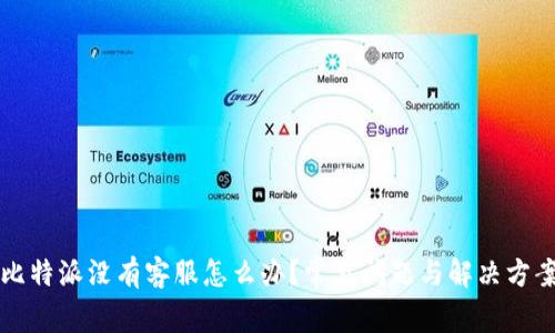 比特派没有客服怎么办？常见问题与解决方案