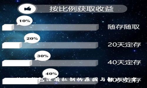b特派钱包没有私钥的原因与解决方案