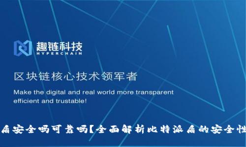 比特派的盾安全吗可靠吗？全面解析比特派盾的安全性与可靠性