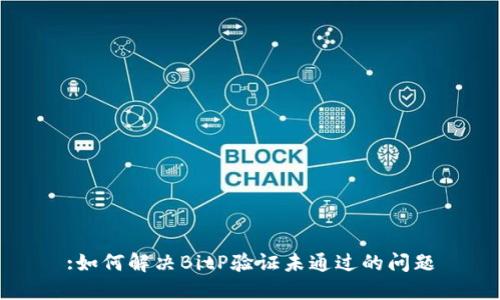 :如何解决BitP验证未通过的问题