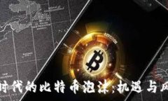   区块链时代的比特币泡沫