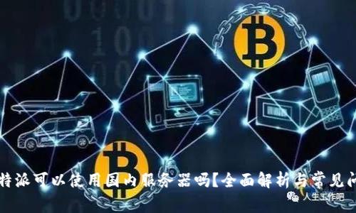 比特派可以使用国内服务器吗？全面解析与常见问题