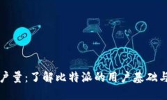 比特派用户量：了解比特