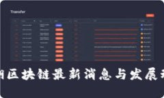 金湖区块链最新消息与发